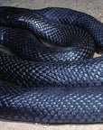 Blue Bellied Black Snake Jacket - Joe Bananas | Australia
