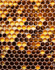 Honeycomb Jacket - Joe Bananas | Australia