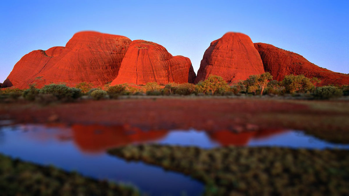 Kata Tjuta Jacket - Joe Bananas | Australia