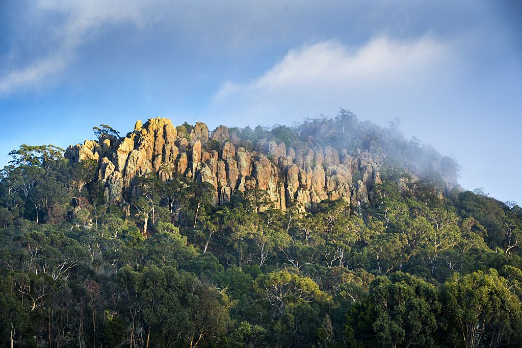 Macedon Ranges Paperbark Jacket - Joe Bananas | Australia