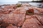 Pink Granite Jacket - Joe Bananas | Australia