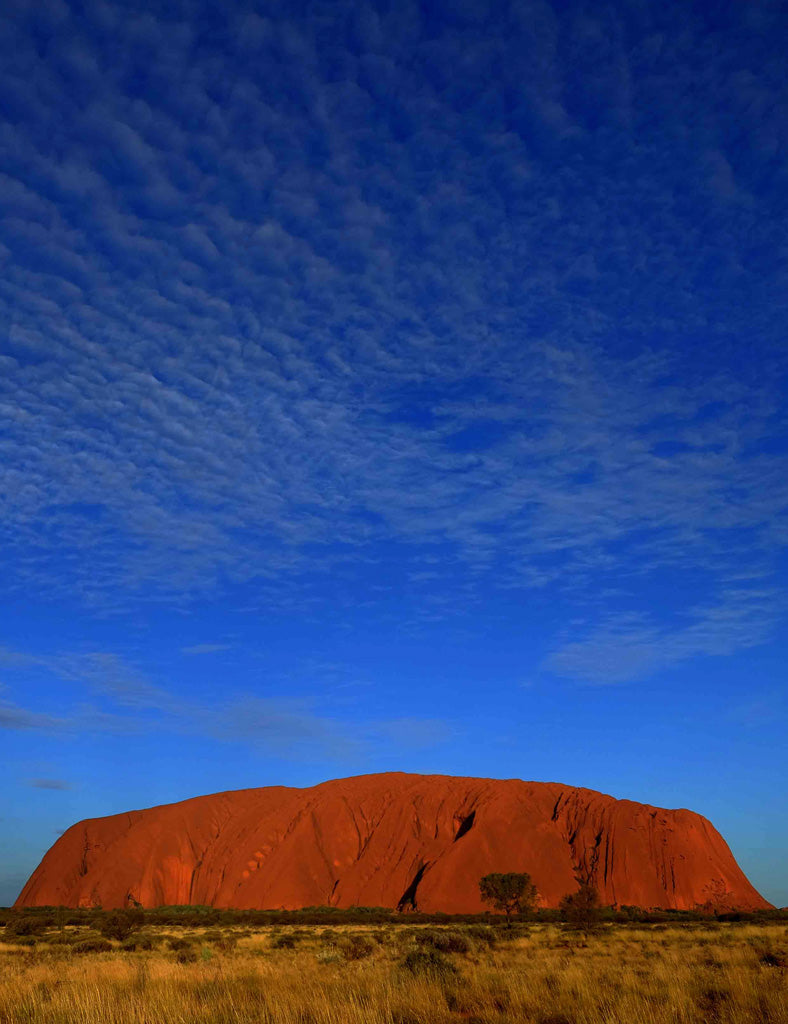 Uluru Stepweave Jacket