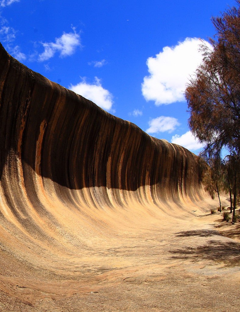 Wave Rock Jacket - Joe Bananas | Australia