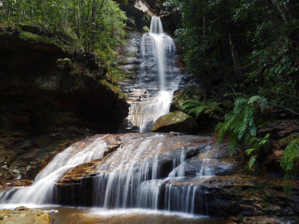 Wentworth Falls Jacket - Joe Bananas | Australia