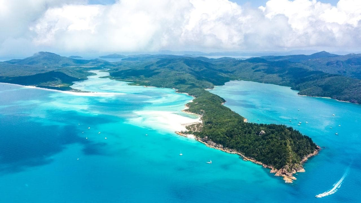 Whitsunday Waters Jacket - Joe Bananas | Australia