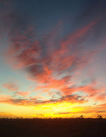 Nullarbor Dusk